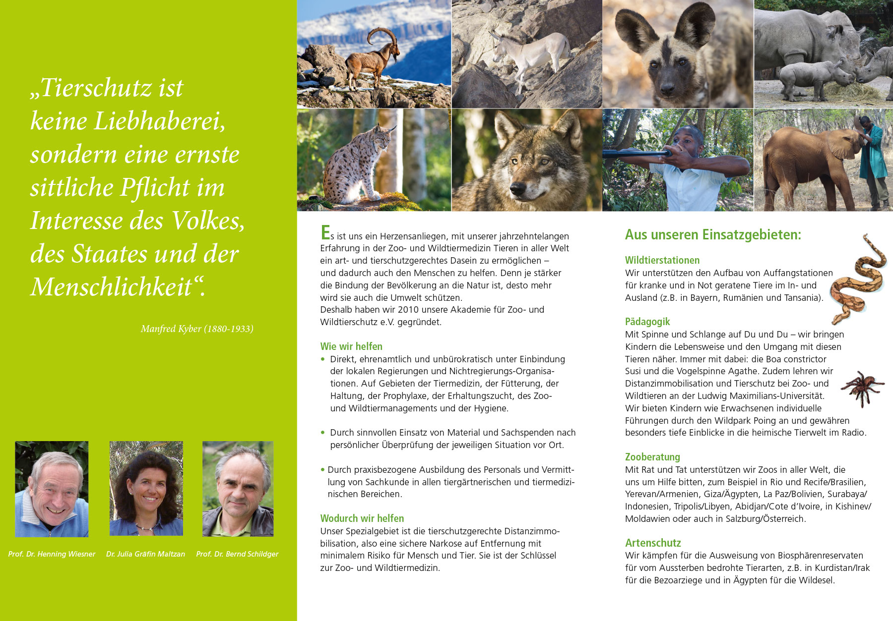 Flyer-Design Akademie