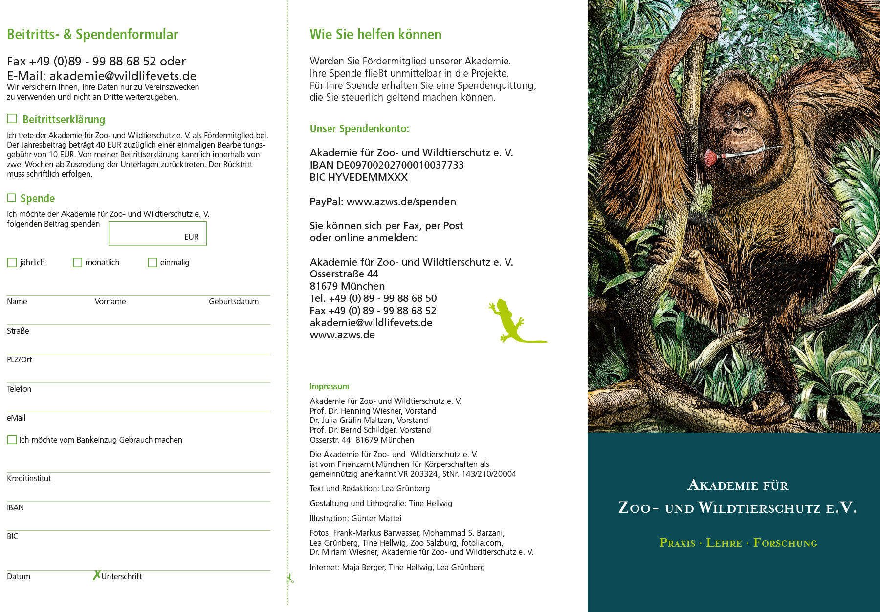 Flyer-Design Akademie Innenseiten