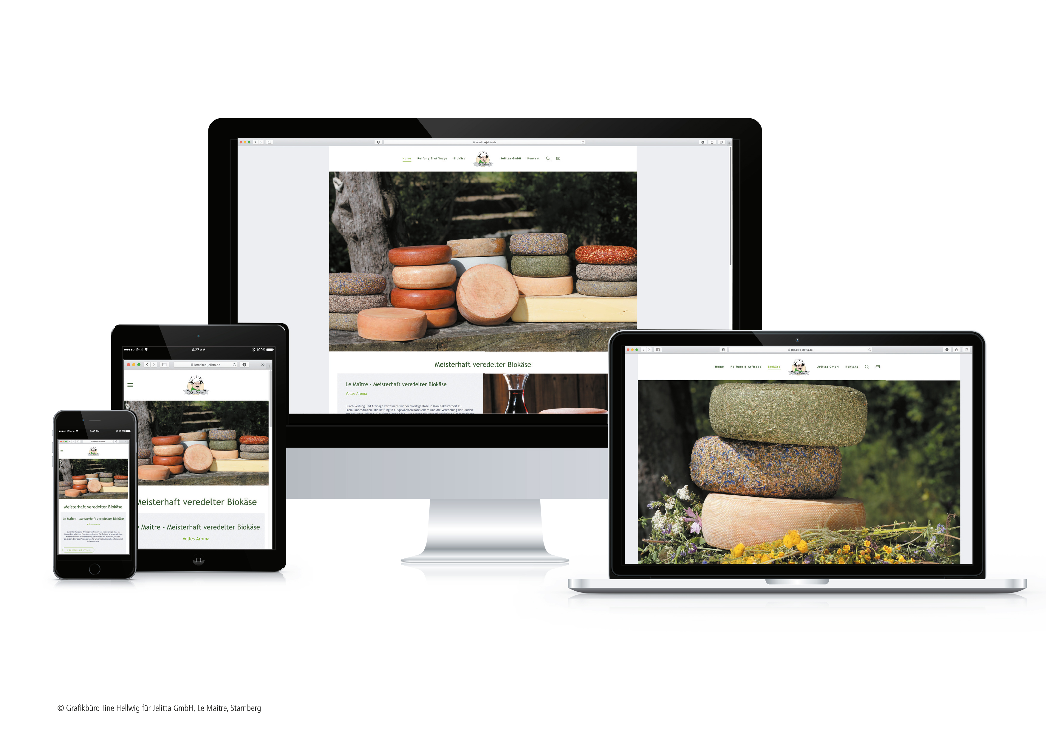 Webdesign für die Jelitta Gmbh