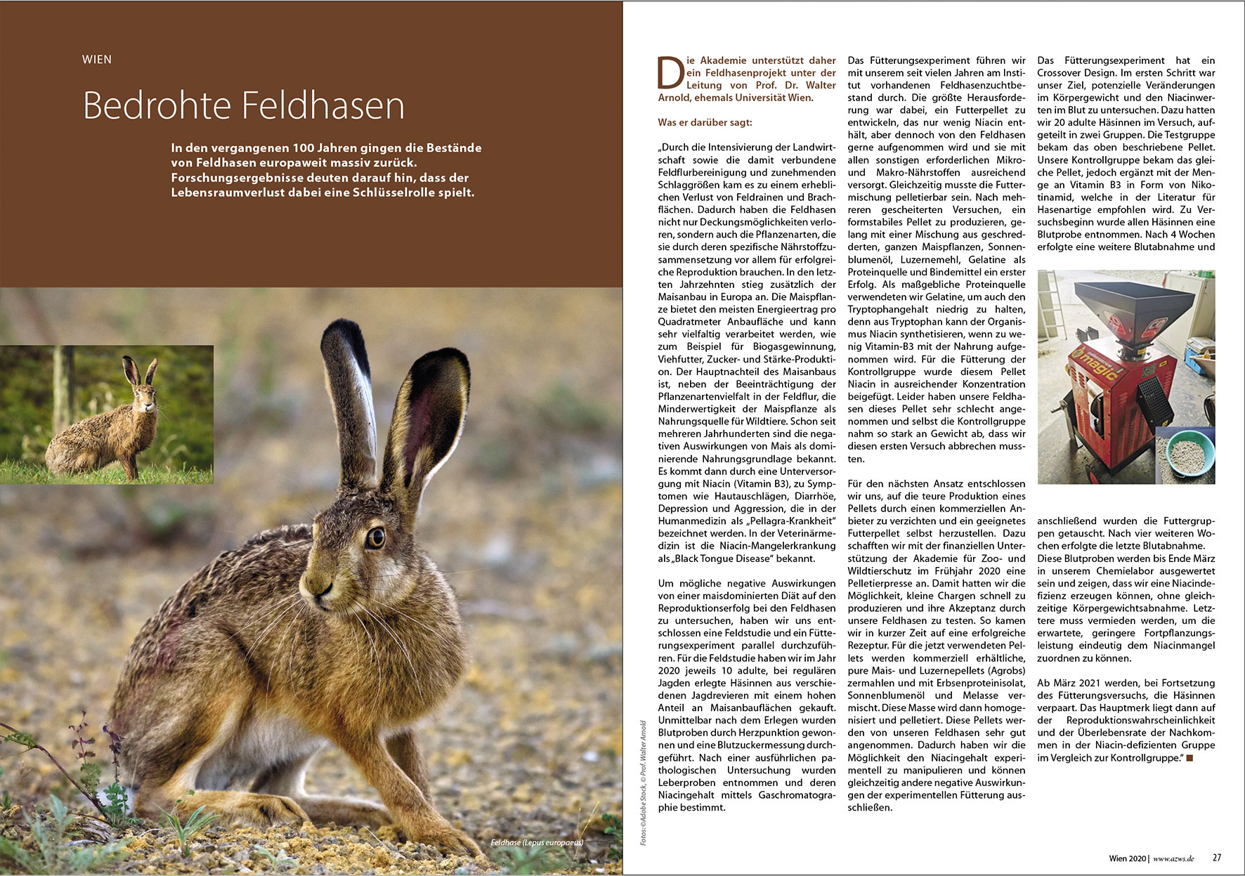 Prospektdesign Jahresbericht AZWS Grafikbüro Tine Hellwig