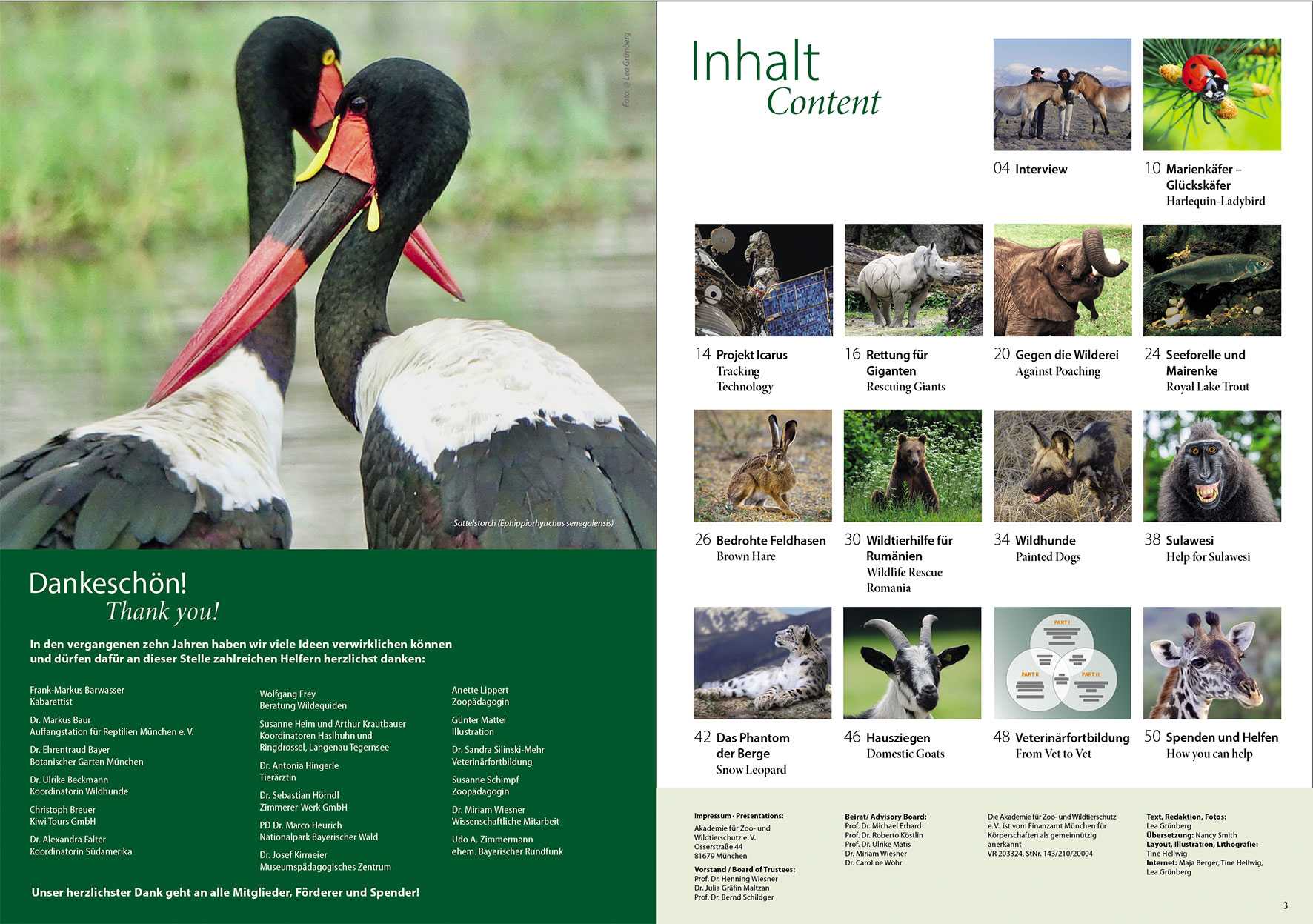 Prospektdesign Jahresbericht AZWS Grafikbüro Tine Hellwig