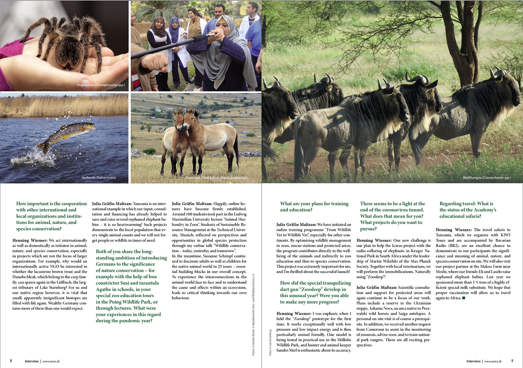 Prospektdesign Jahresbericht AZWS Grafikbüro Tine Hellwig