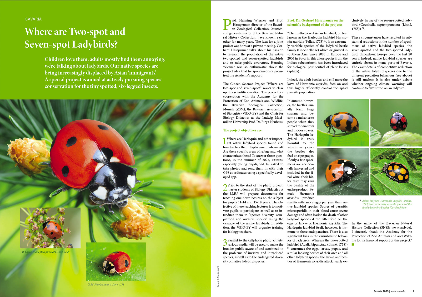 Prospektdesign Jahresbericht AZWS Grafikbüro Tine Hellwig