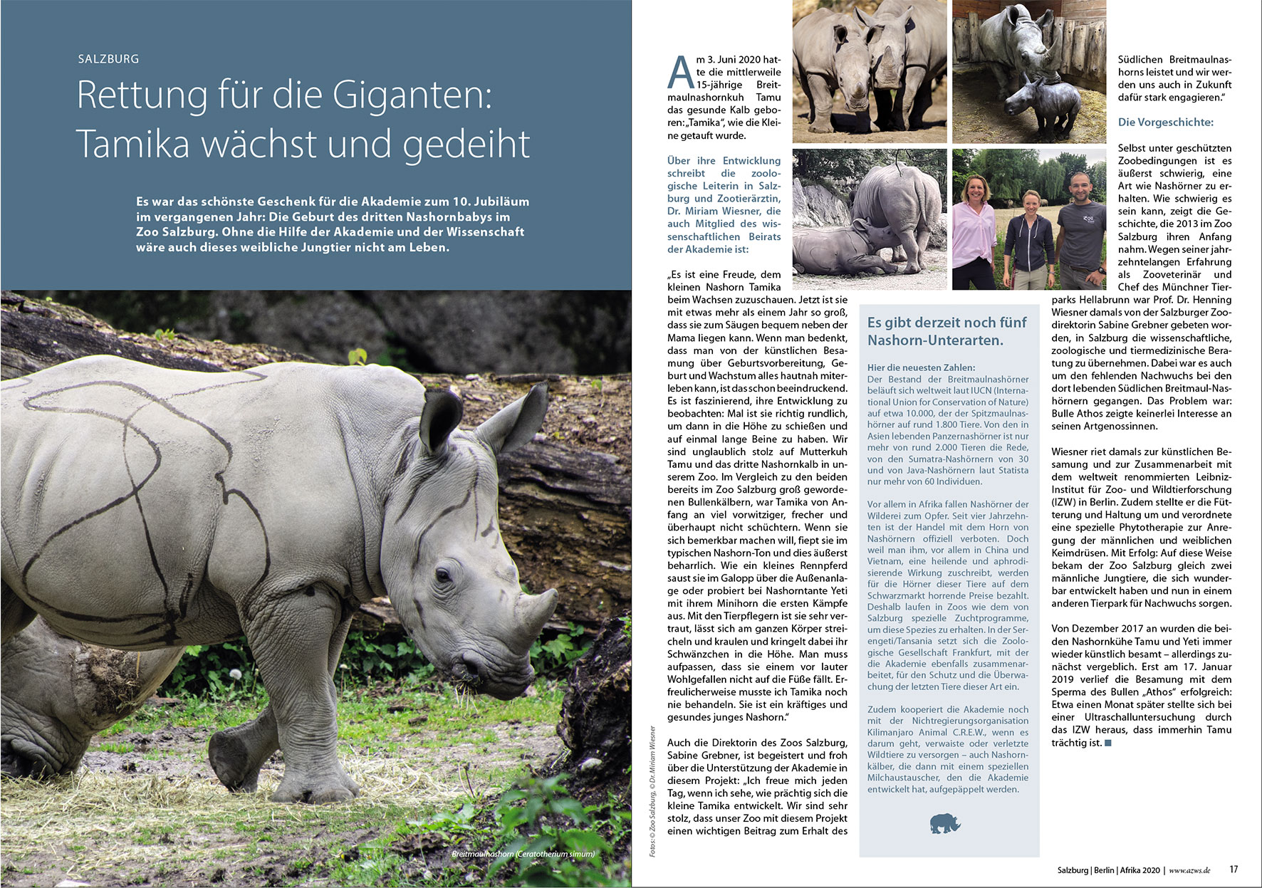 Prospektdesign Jahresbericht AZWS Grafikbüro Tine Hellwig