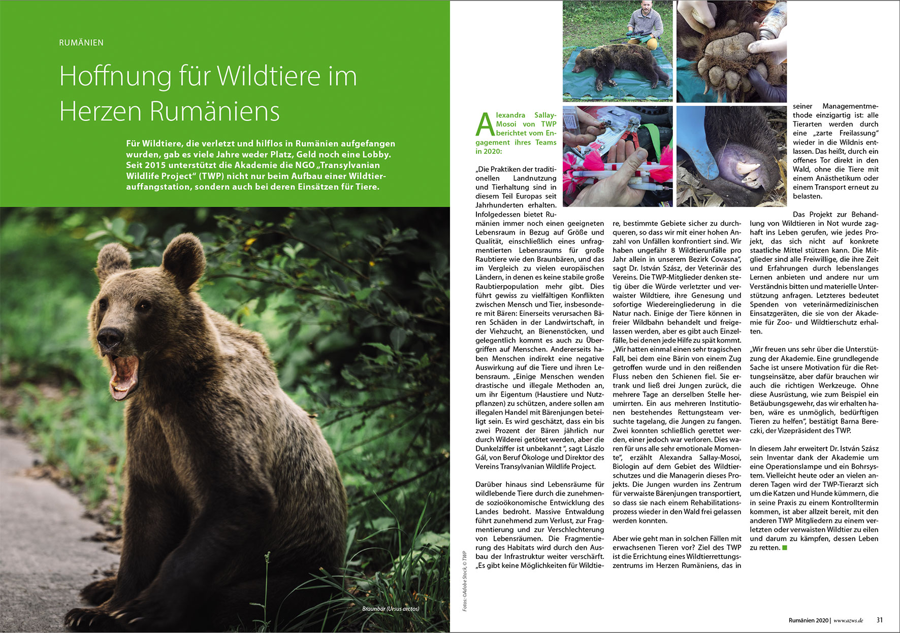 Prospektdesign Jahresbericht AZWS Grafikbüro Tine Hellwig