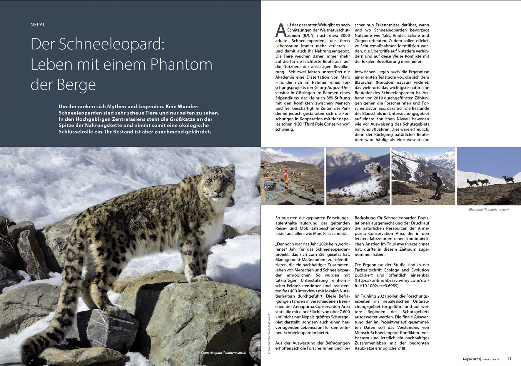 Prospektdesign Jahresbericht AZWS Grafikbüro Tine Hellwig