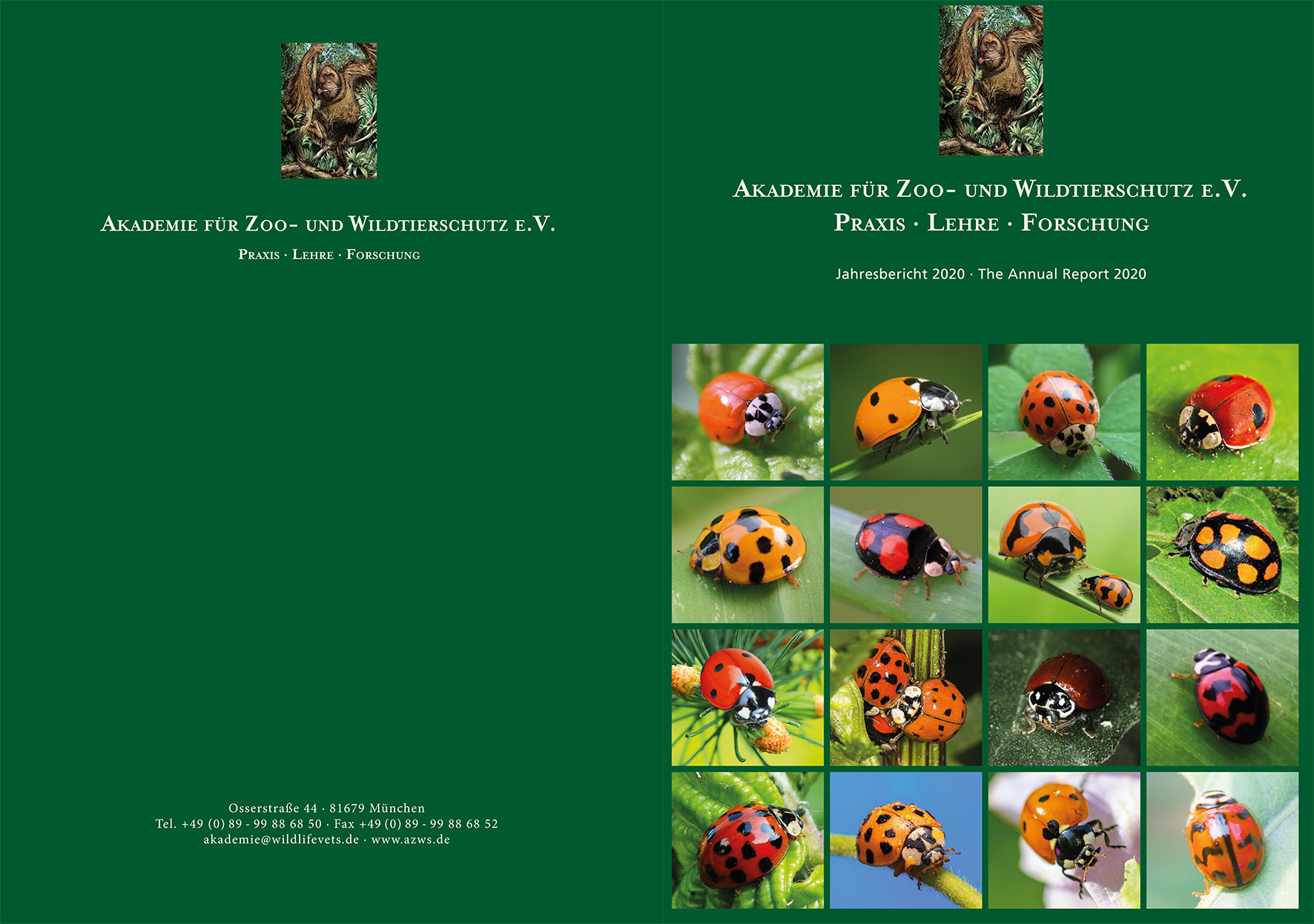 Prospektdesign Jahresbericht AZWS Grafikbüro Tine Hellwig