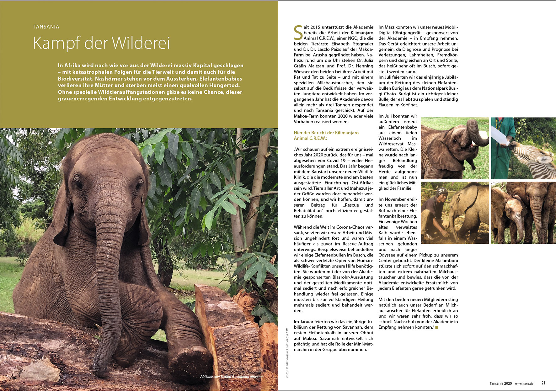 Prospektdesign Jahresbericht AZWS Grafikbüro Tine Hellwig