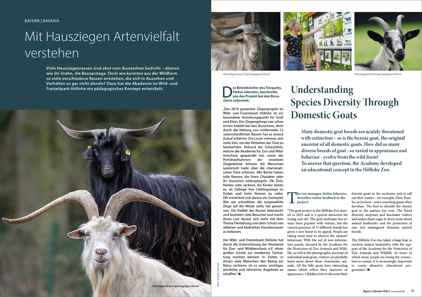 Prospektdesign Jahresbericht AZWS Grafikbüro Tine Hellwig