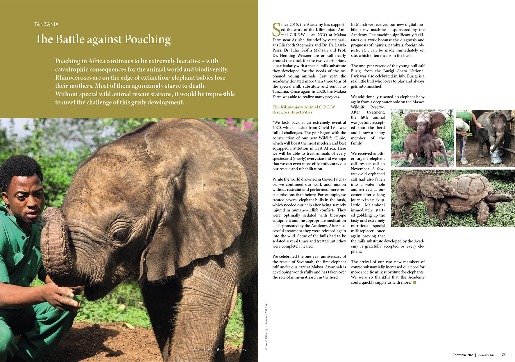 Prospektdesign Jahresbericht AZWS Grafikbüro Tine Hellwig