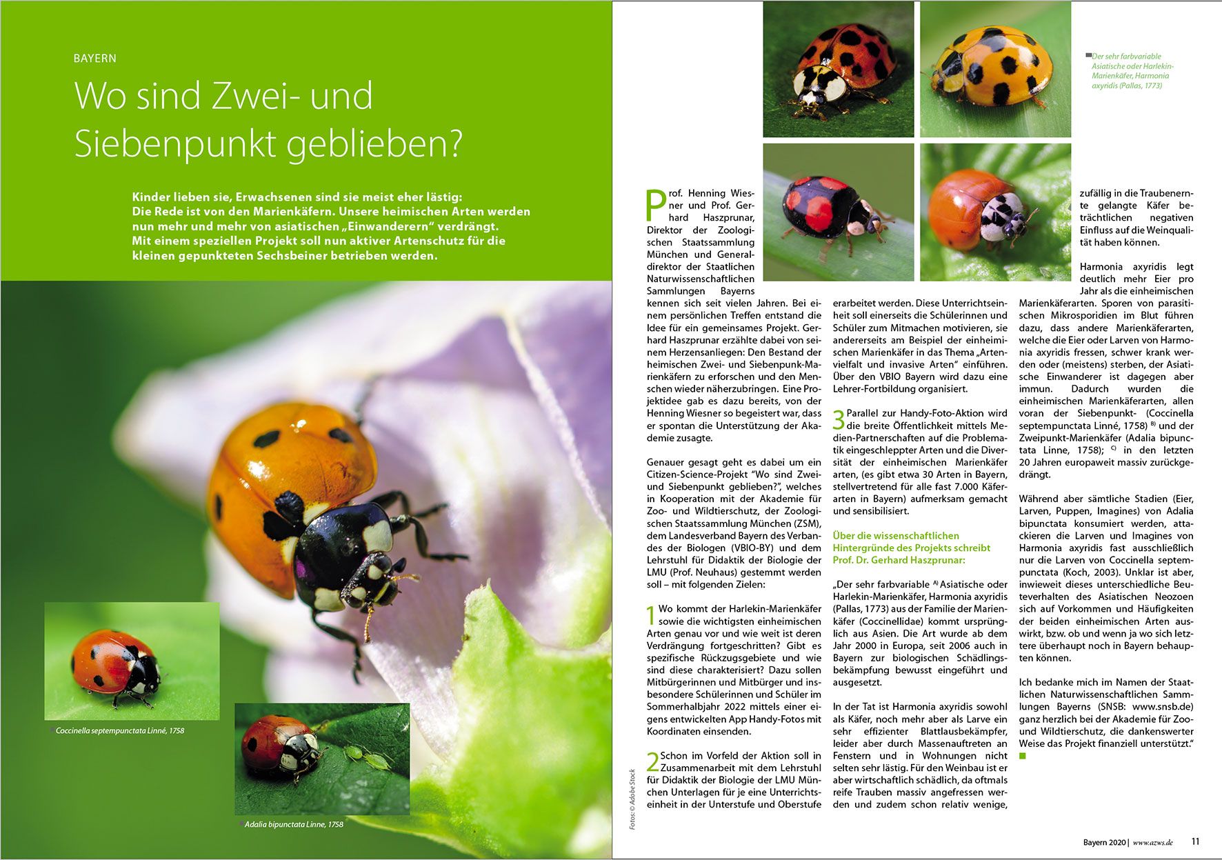 Prospektdesign Jahresbericht AZWS Grafikbüro Tine Hellwig